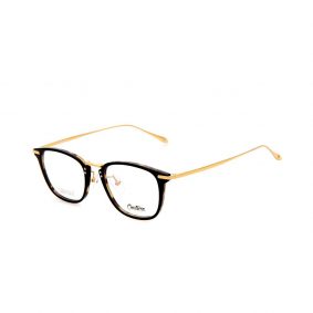 WHOOSH Couture Vintage Series Tortoise DFM5107 C2 Unisex Eyeglasses