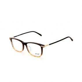 WHOOSH Vintage Series Gradient Brown Square TT4209 C2 Eyeglasses