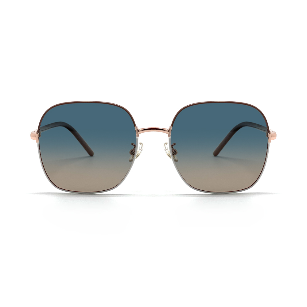 WHOOSH Sunnies Series ODPS56009 C2 Sunglasses - Image 2