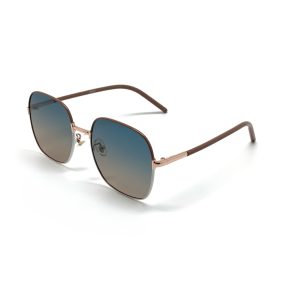 WHOOSH Sunnies Series ODPS56009 C2 Sunglasses
